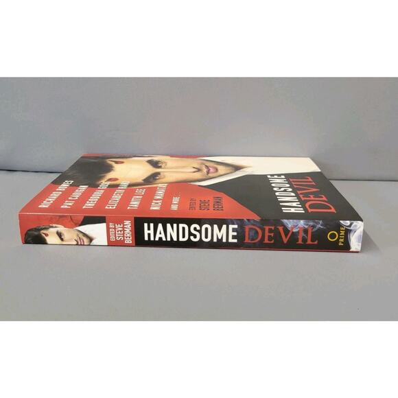 Handsome Devil Stories of Sin & Seduction Book Paperback 2013 - Picture 6 of 14